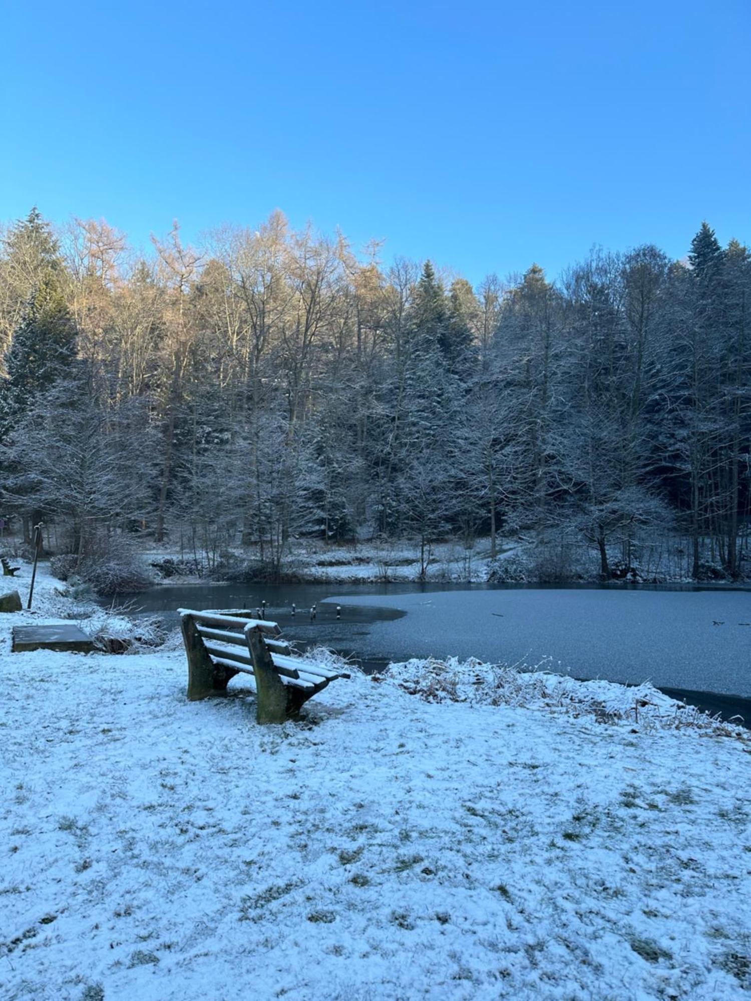Fewo “Ruhige Momente” In Waldkirch Exterior foto